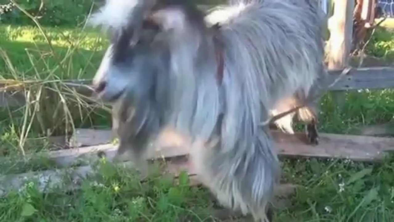 Le Zap de Spi0n.com n°153