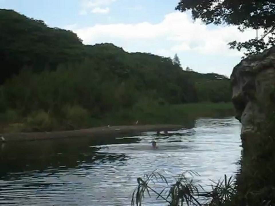 SAUT THI RIVIERE