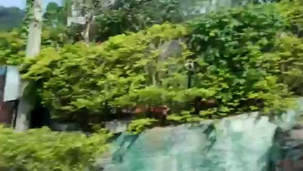 Why are Hot Chicks Crazy?