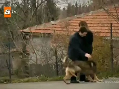 Huzur Sokağı Kutsi Köpek Sahnesi