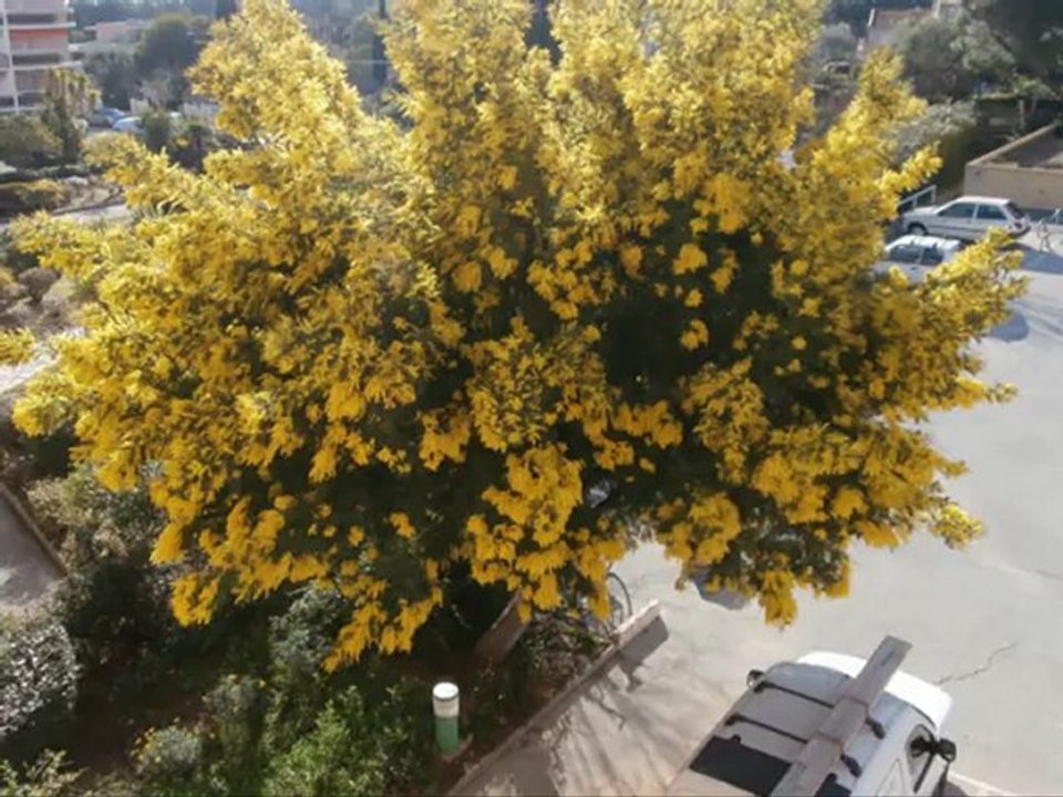 appartement T2 Bormes les Mimosas La Favière