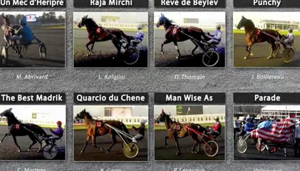 N°1- Un Mec d’Heripre - 92eme Grand Prix d'Amerique 2013 - Hippodrome Paris-Vincennes - Be Leader - New3S