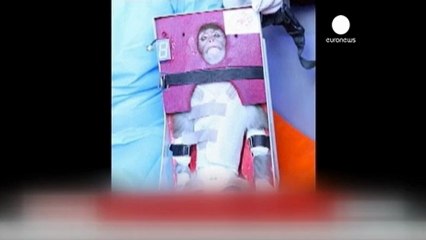 İran uzaya maymun gönderdi