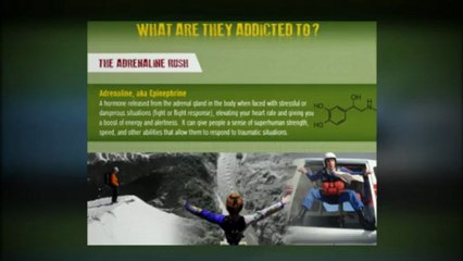 The best Service of Info Graphics Ninja