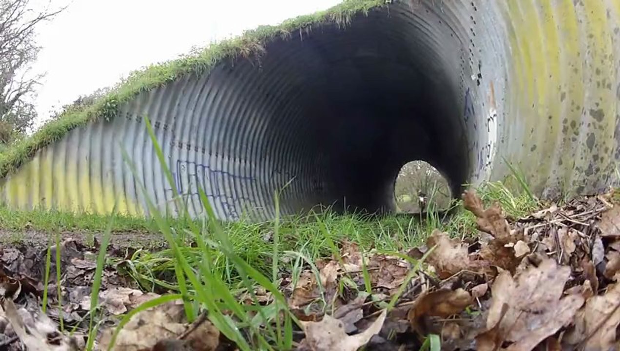 FREE RIDE 700 RAPTOR / 250 EXC