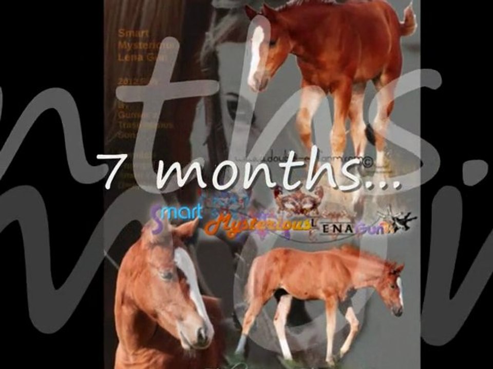 smartmysteryslenagun