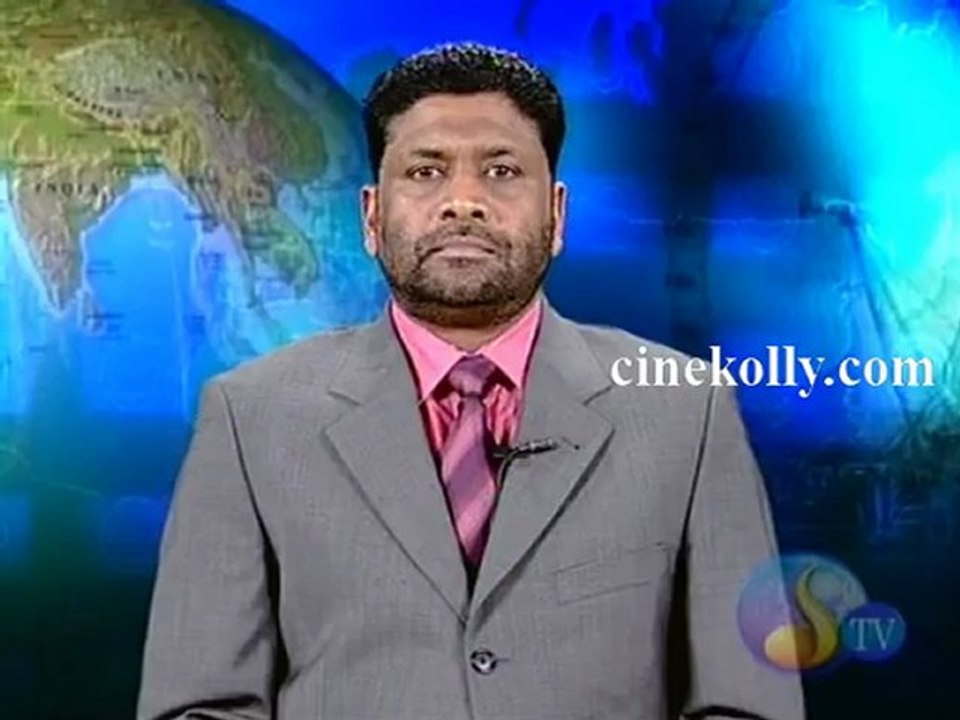 dnews28012013
