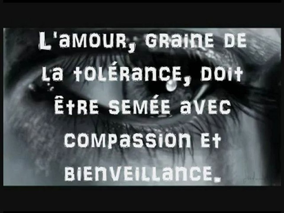 Lily présente - LA TOLÉRANCE