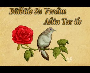 Cömlekci10(Müzik) Bülbüle su verdim Altin tas ile