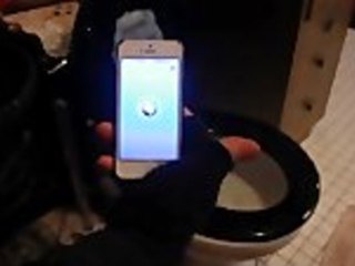 Shazam The Sound Of A Toilet Flushing