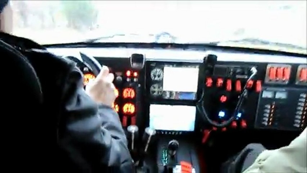 Tiger - there is only one.