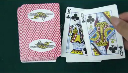 PLASTIC-PLAYING-CARDS--Bee with Picture--Poker-cheat