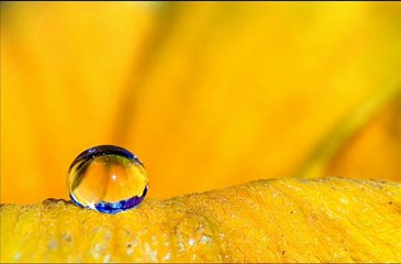 سورة ابراهيم سعد الغامدي