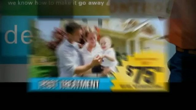 Houston Pest Control for businesses & homes