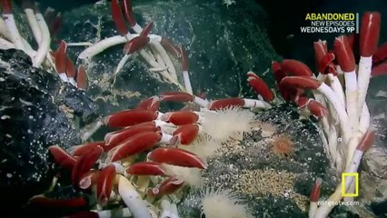 Alien Deep With Bob Ballard S01 Ep3