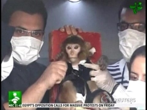 Iranians launch monkey into space