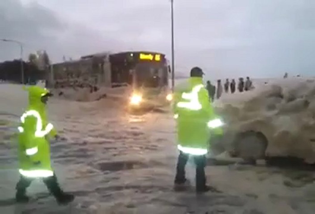 Voiture sous la mousse