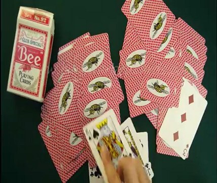 пластиковые карты Bee(with picture-Red)2 покер обман