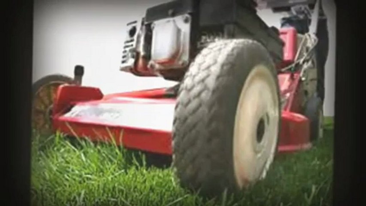 garden clean ups