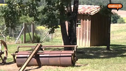 Arbres et forêt de Haute-Saintonge