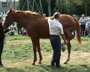 Web tv conférence 2009 - Jean-Marie Denoix - Longe Indochine