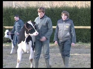 relation-homme-animal-lycee saint laurent