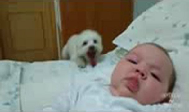 로얄카지노 ⊙→→XED700.COM←←⊙ 우리카지노 라이브카지노