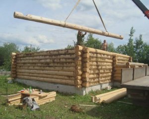 Сборка сруба в пос. Будугощь. http://вепсскийсруб.рф