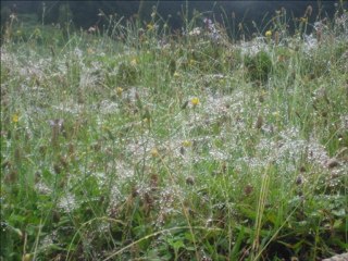 ATİLLA BAYAR YARİM SENDEN AYRILALI