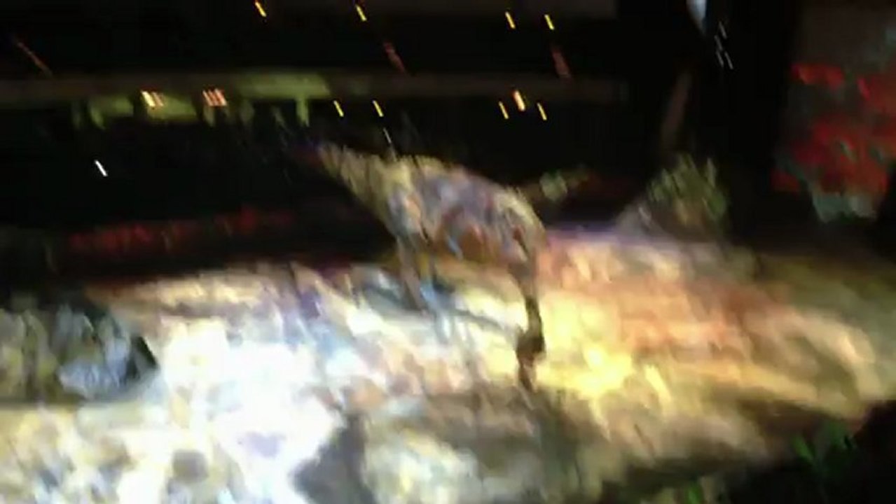 Frankfurt 27.01.2013 Dinosaurier - Im Reich der Giganten