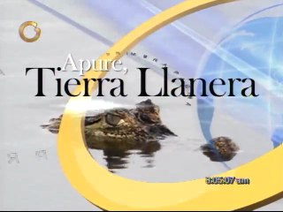 Naturaleza Al Día: Apure, tierra llanera