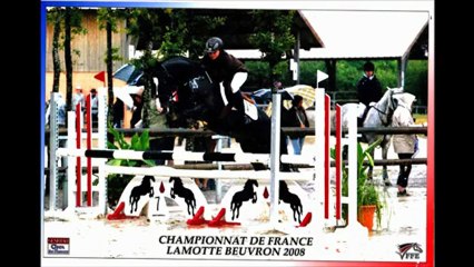 neicop d'argent étalon poney