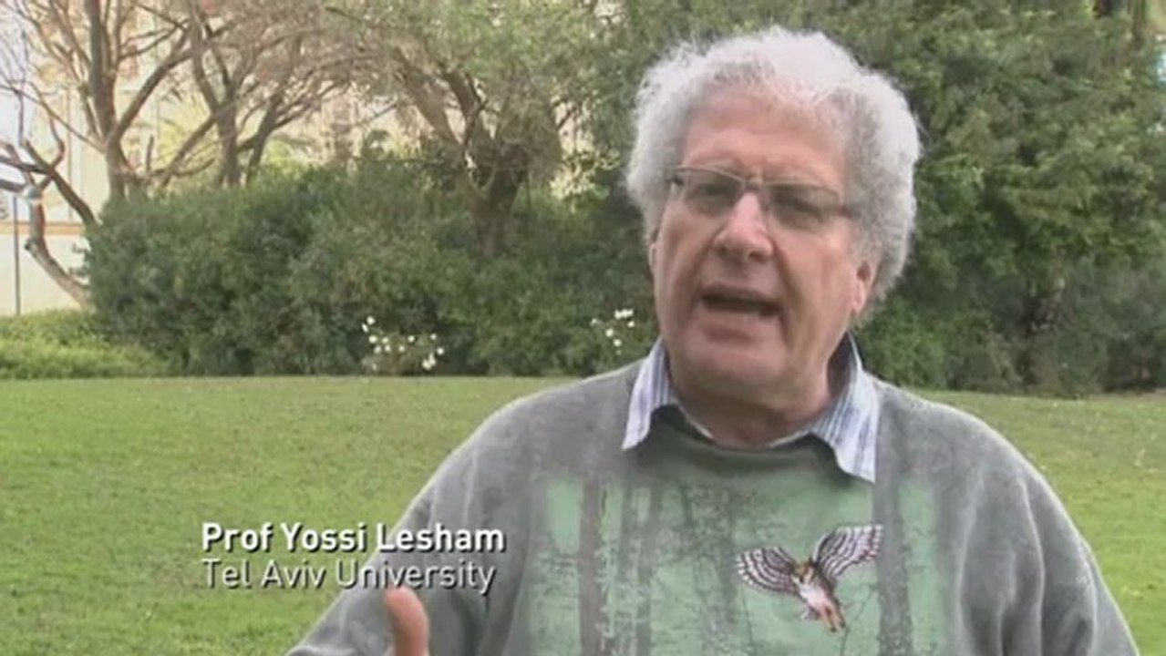 Rare phenomenon of starlings in the skies above Israel