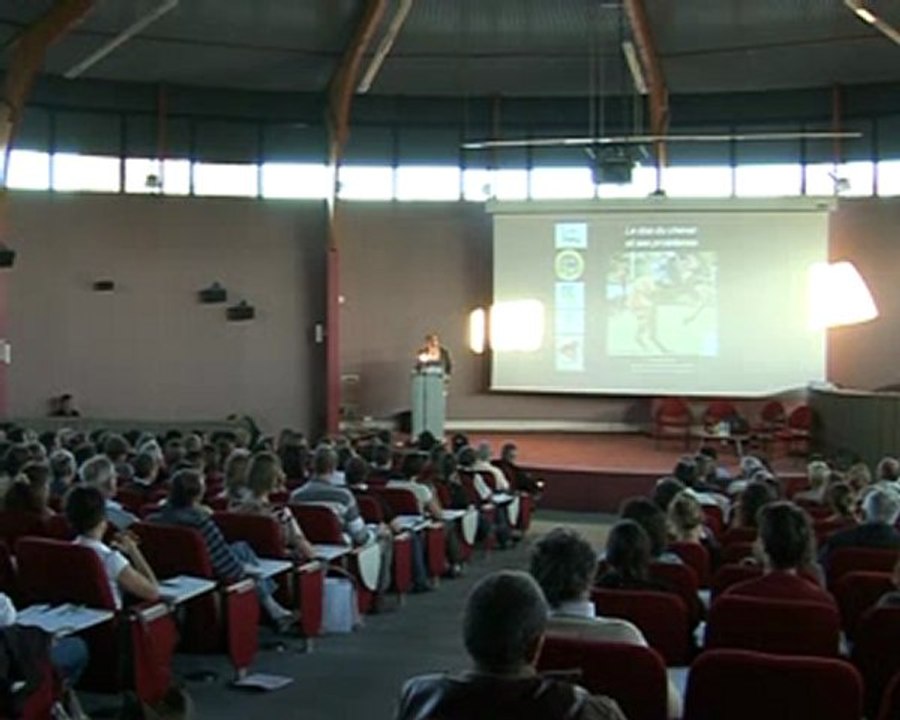 Web tv conférence 2009 - Présentation
