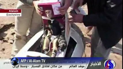 L'Iran envoie un singe dans l'espace