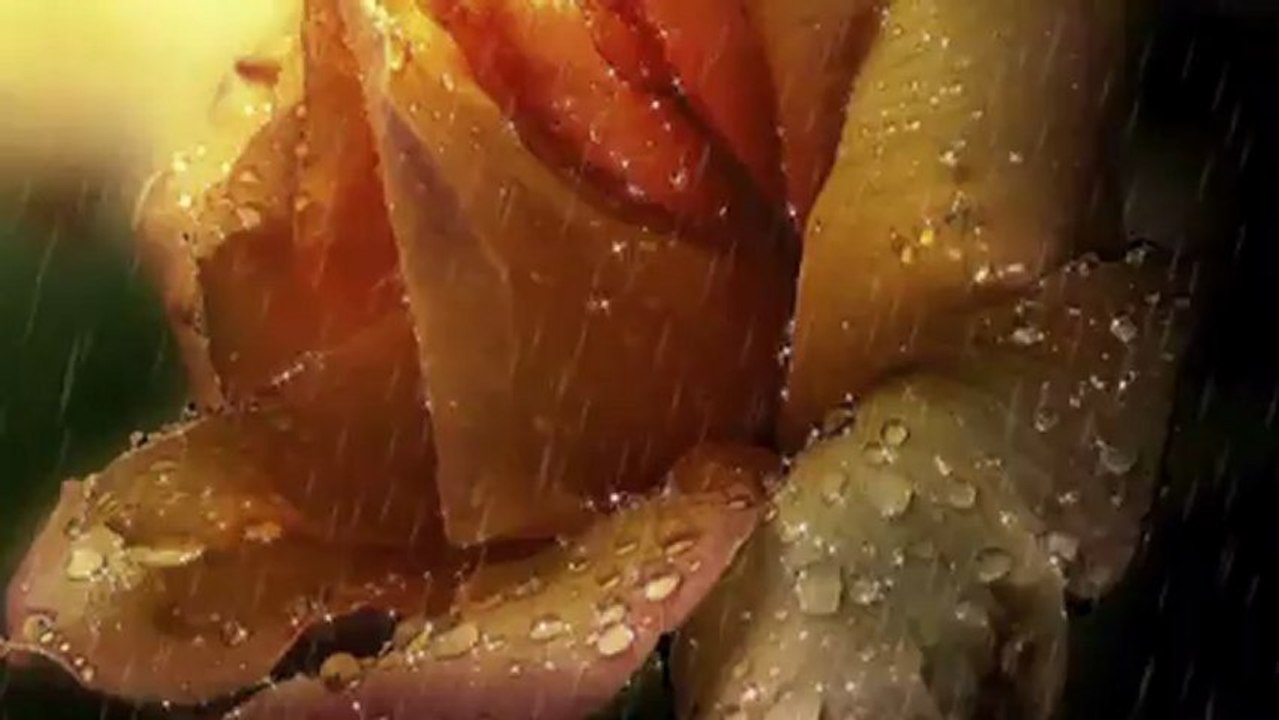 Mały książę  i róża -Edycja  specjalna wokal Krzyś