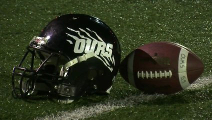 Rencontre avec les Ours de Toulouse avant le Super Bowl