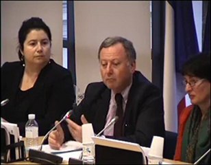 AN - Rudy Salles évoque la santé du cinéma français en Europe