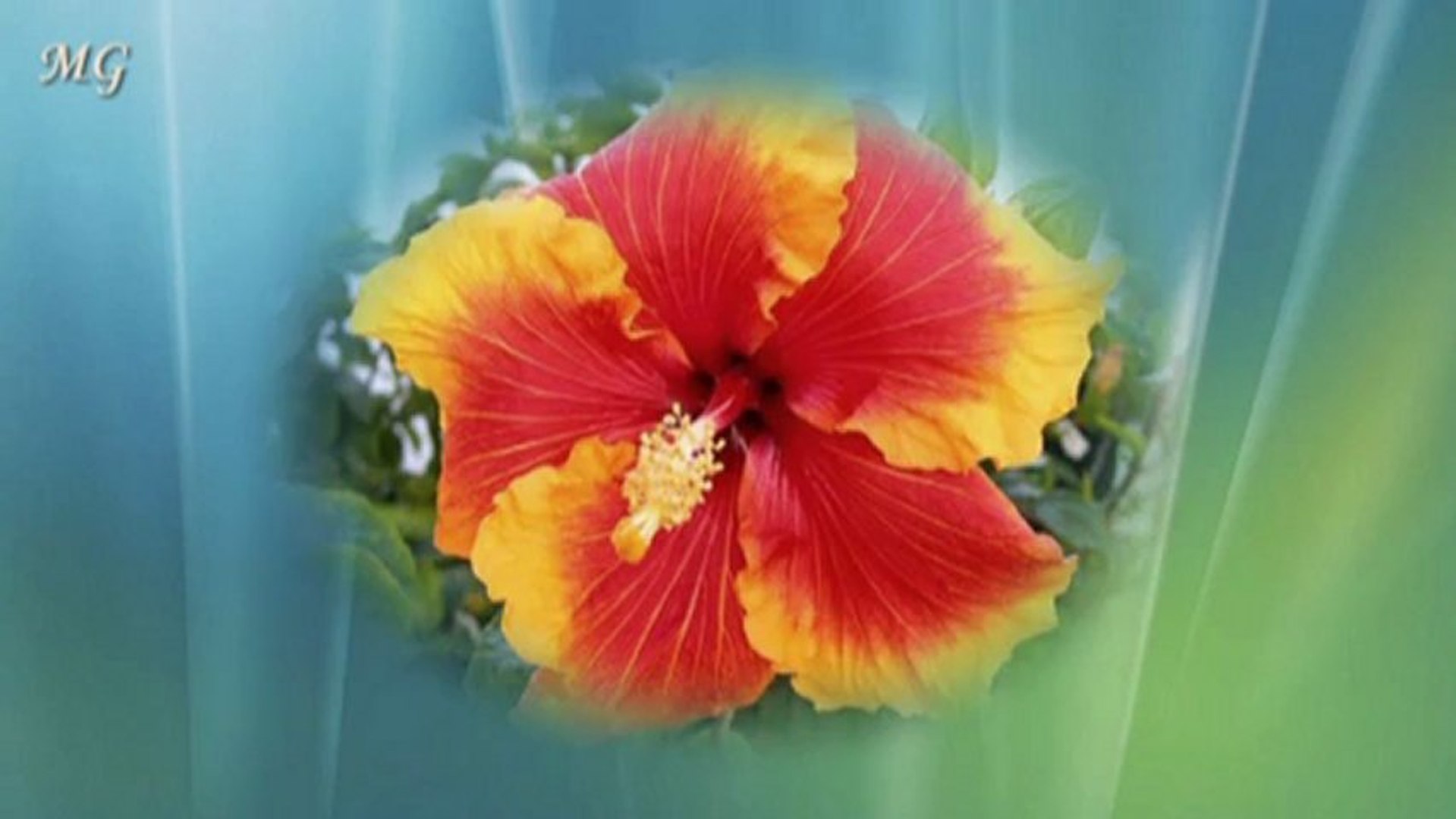 Музика и цвят - Music and color