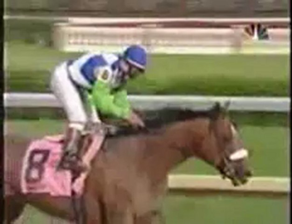 Remembering Barbaro