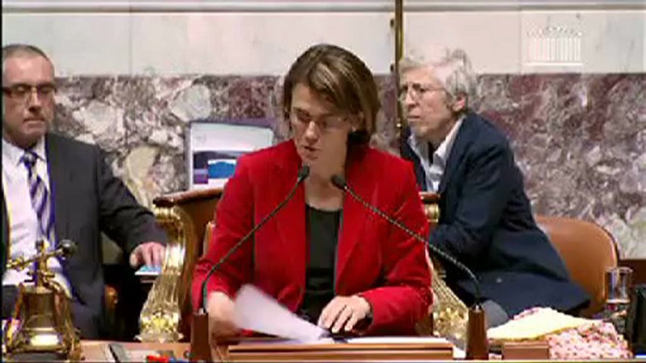 Débat Mariage pour tous - Noël Mamère - 29 janvier 2013