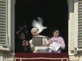 Peace Released By Pope Benedict XVI To Signify Peace, Attacked By Seagull