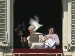 Tải video: Peace Released By Pope Benedict XVI To Signify Peace, Attacked By Seagull