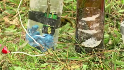 Colheita no campo minado