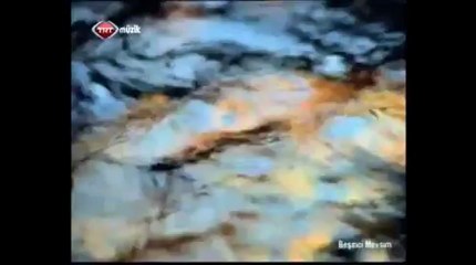 Sırrı Süreyya Önder TRT'de Cümbüş Çaldı, Türkü Söyledi