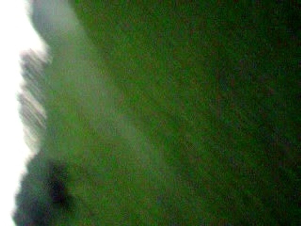 kaline et gallopeuse 004