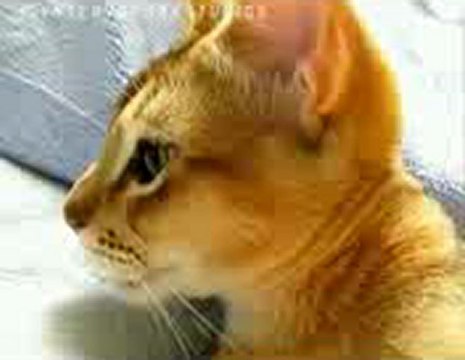 비비카지노 ##XED700.COM## 바카라하는법 성주배씨.