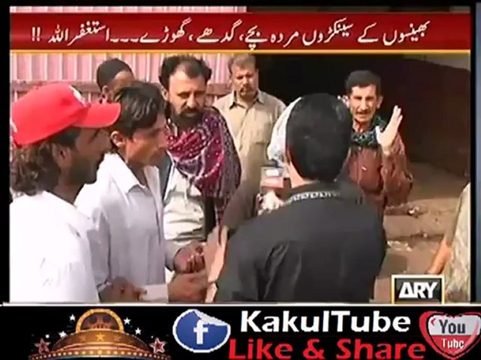 Sar-e-Aam 26th January 2013 (Haram Gosht ka Karobaar) Full Show on ARYNews