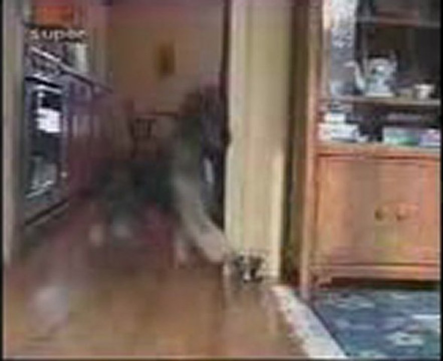 비비카지노 ┣｛｛XED700.COM｝｝┫ 실시간룰렛