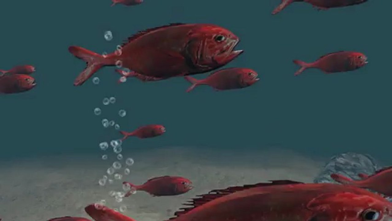 Deep-sea fishing